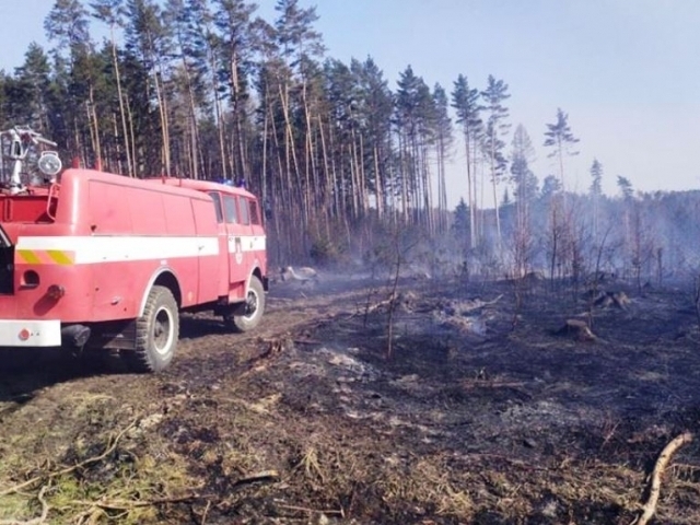 Hasiči musí řešit velké množství lesních požárů, foto: HZS Středočeského kraje