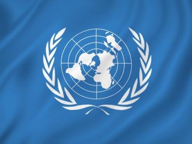 Výběrové řízení do programu Mladých delegátů ČR do OSN, foto: MZV vlajka OSN